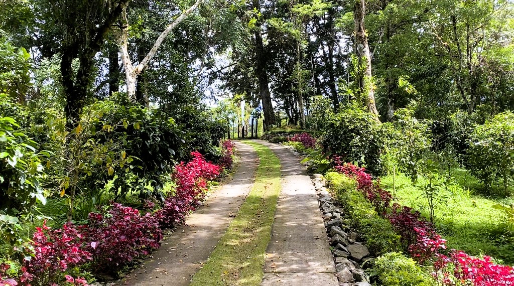 Experiencia Gourmet En Hacienda Mamecillo